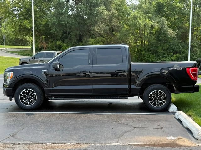 Certified 2023 Ford F150 XLT w/ Equipment Group 302A High AWD/4WD image 4
