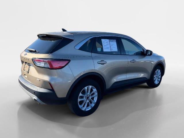 Certified 2021 Ford Escape SE w/ Cold Weather Package FWD image 3