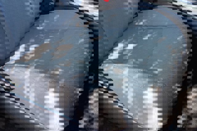 Used 2023 Toyota Tacoma SR5 AWD/4WD image 13