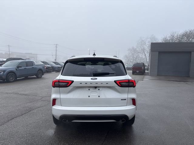 Certified 2024 Ford Escape ST-Line Select image 8