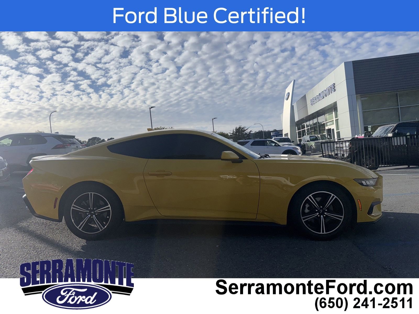 Certified 2024 Ford Mustang Premium image 4