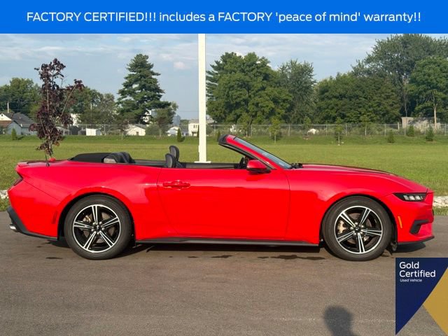 Certified 2024 Ford Mustang Premium RWD image 19