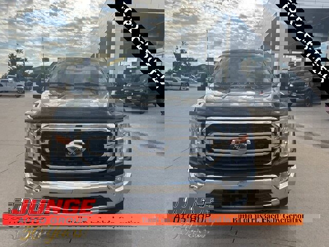 Certified 2022 Ford F150 XLT w/ Equipment Group 301A Mid image 7