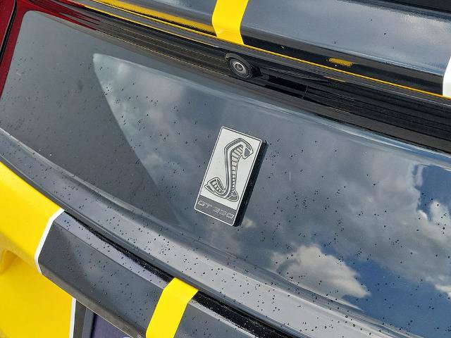 Certified 2017 Ford Mustang Shelby GT350 RWD image 10