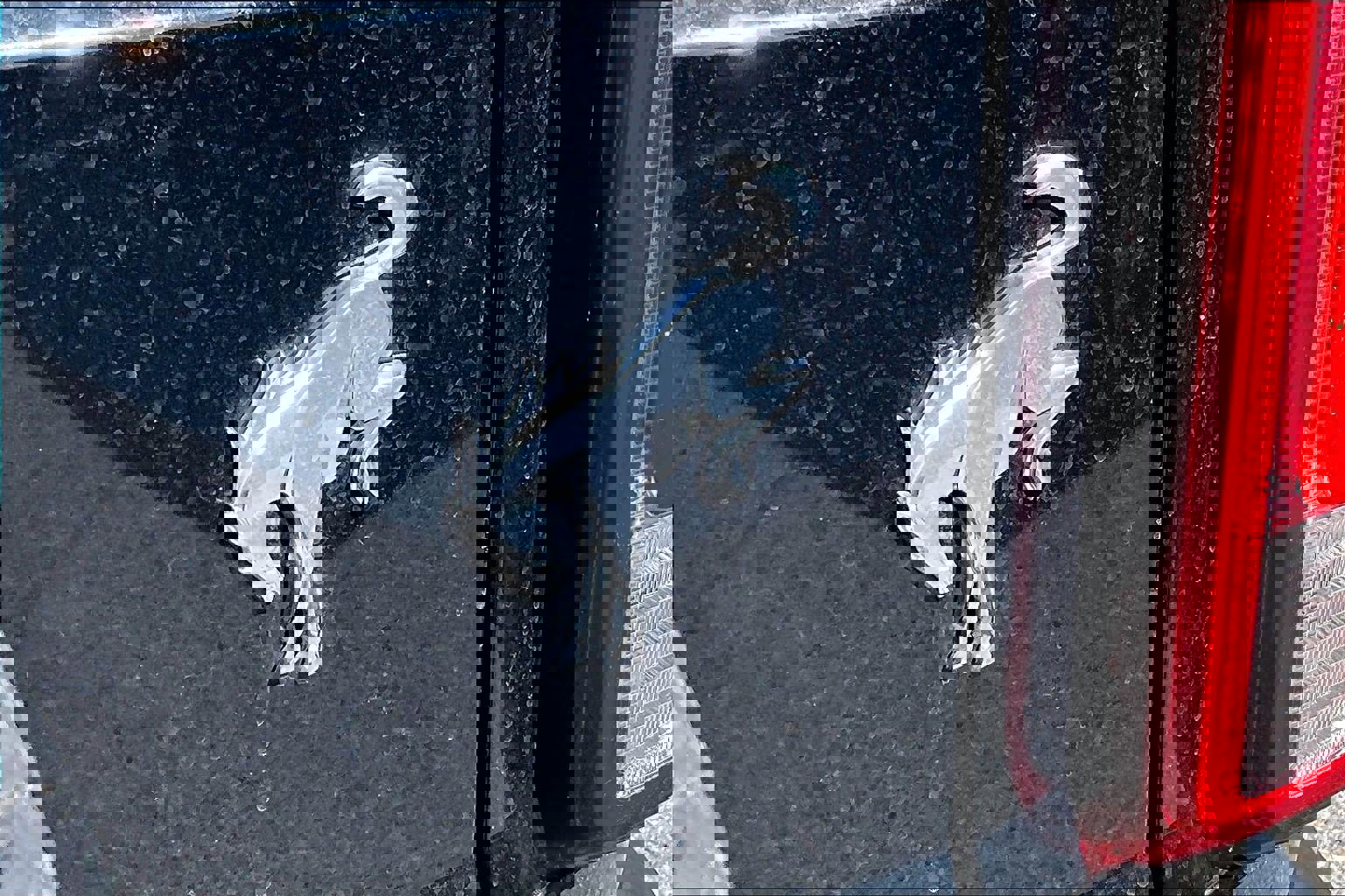 Certified 2022 Ford Bronco 4-Door image 8