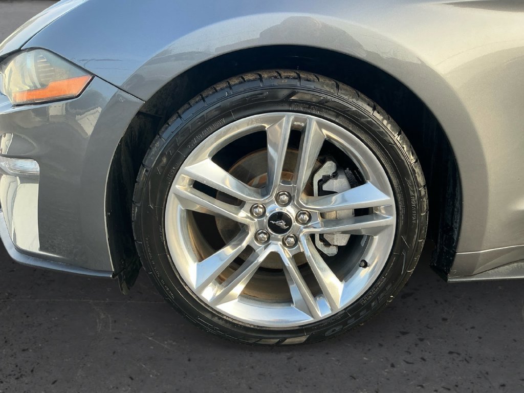 Certified 2021 Ford Mustang Premium w/ Equipment Group 201A RWD image 13