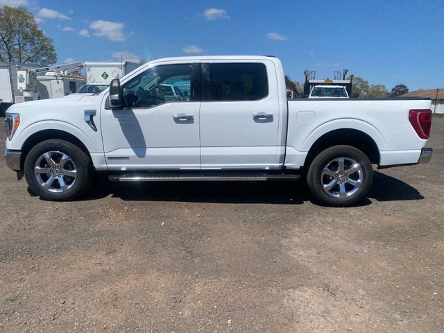 Certified 2023 Ford F150 XLT w/ Equipment Group 302A High AWD/4WD image 4