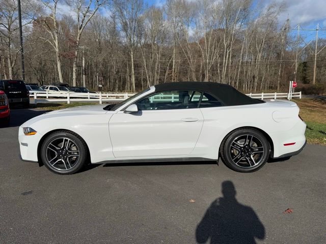 Certified 2021 Ford Mustang Premium image 12