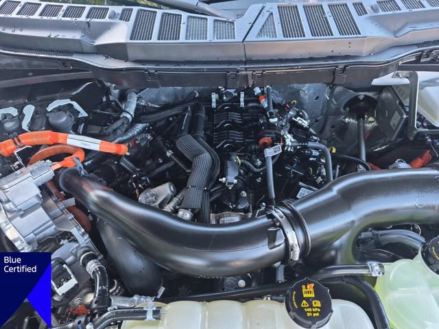 Certified 2025 Ford F150 XLT w/ Equipment Group 302A MID AWD/4WD image 37