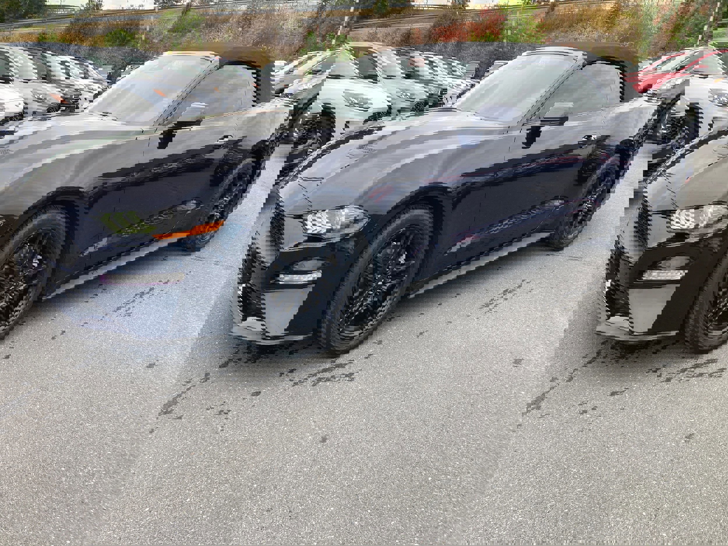 Certified 2021 Ford Mustang Premium image 2