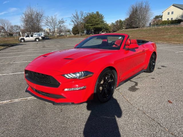 Certified 2019 Ford Mustang Premium w/ Equipment Group 201A image 16