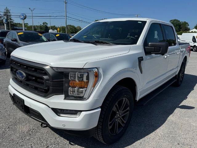 Certified 2021 Ford F150 XLT w/ Equipment Group 302A High AWD/4WD image 5