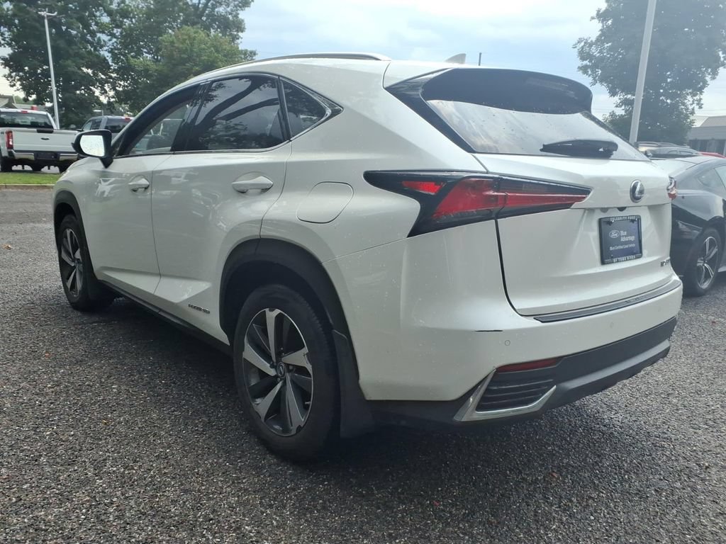 Used 2020 Lexus NX 300h AWD w/ Premium Package image 4