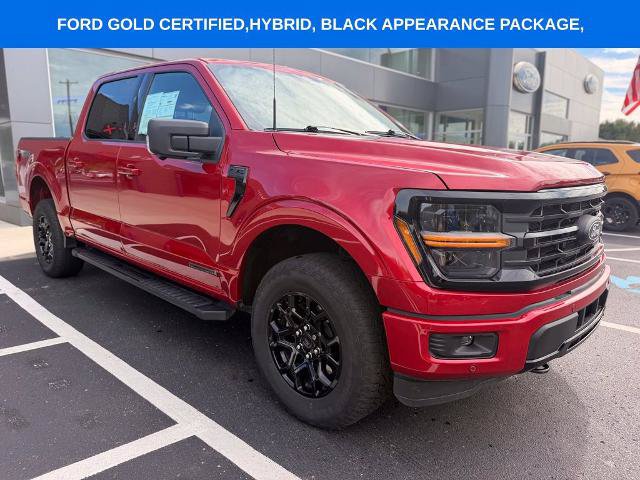 Certified 2024 Ford F150 XLT w/ Equipment Group 302A MID AWD/4WD image 3