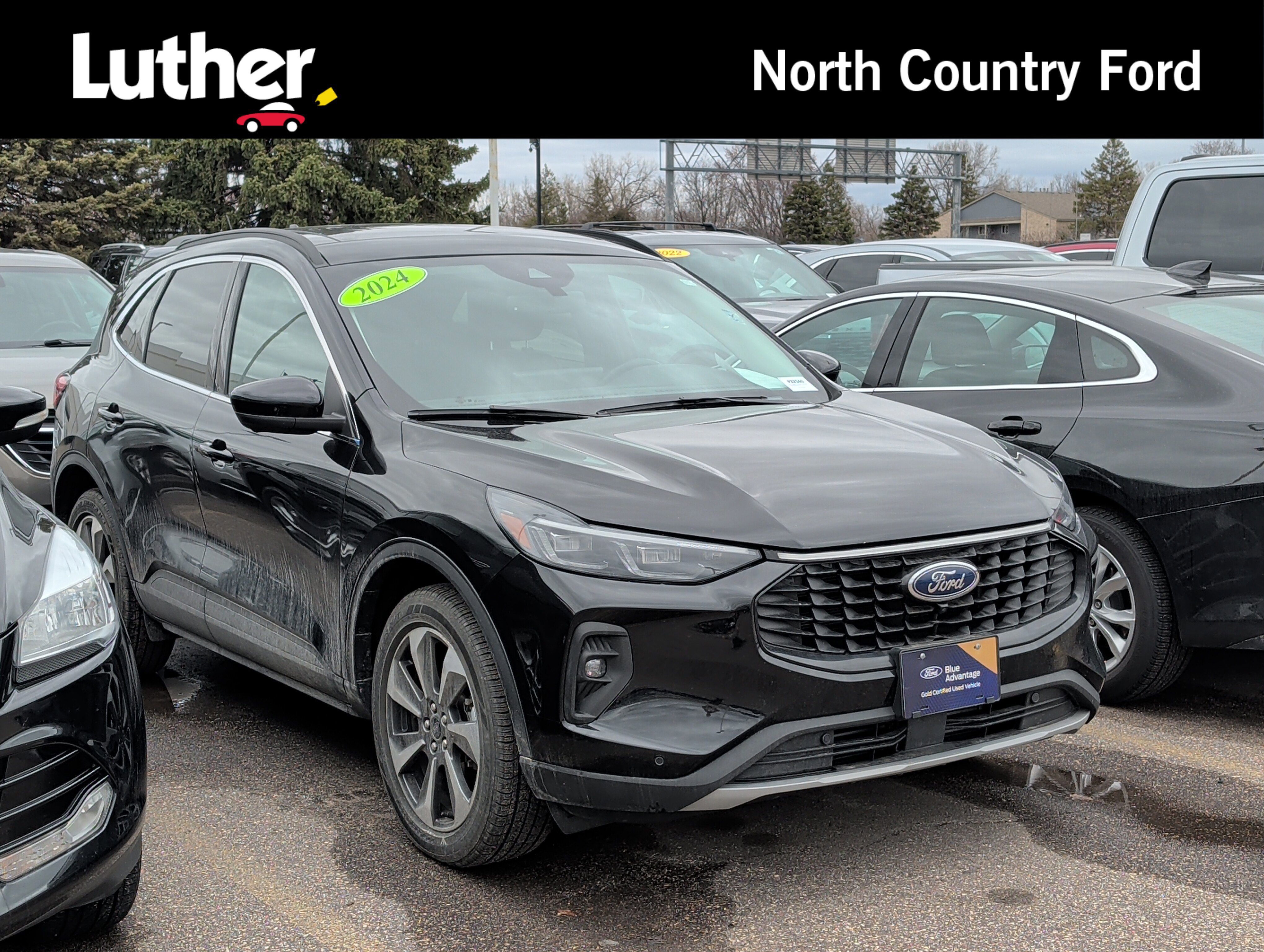 Certified 2024 Ford Escape Platinum image 4