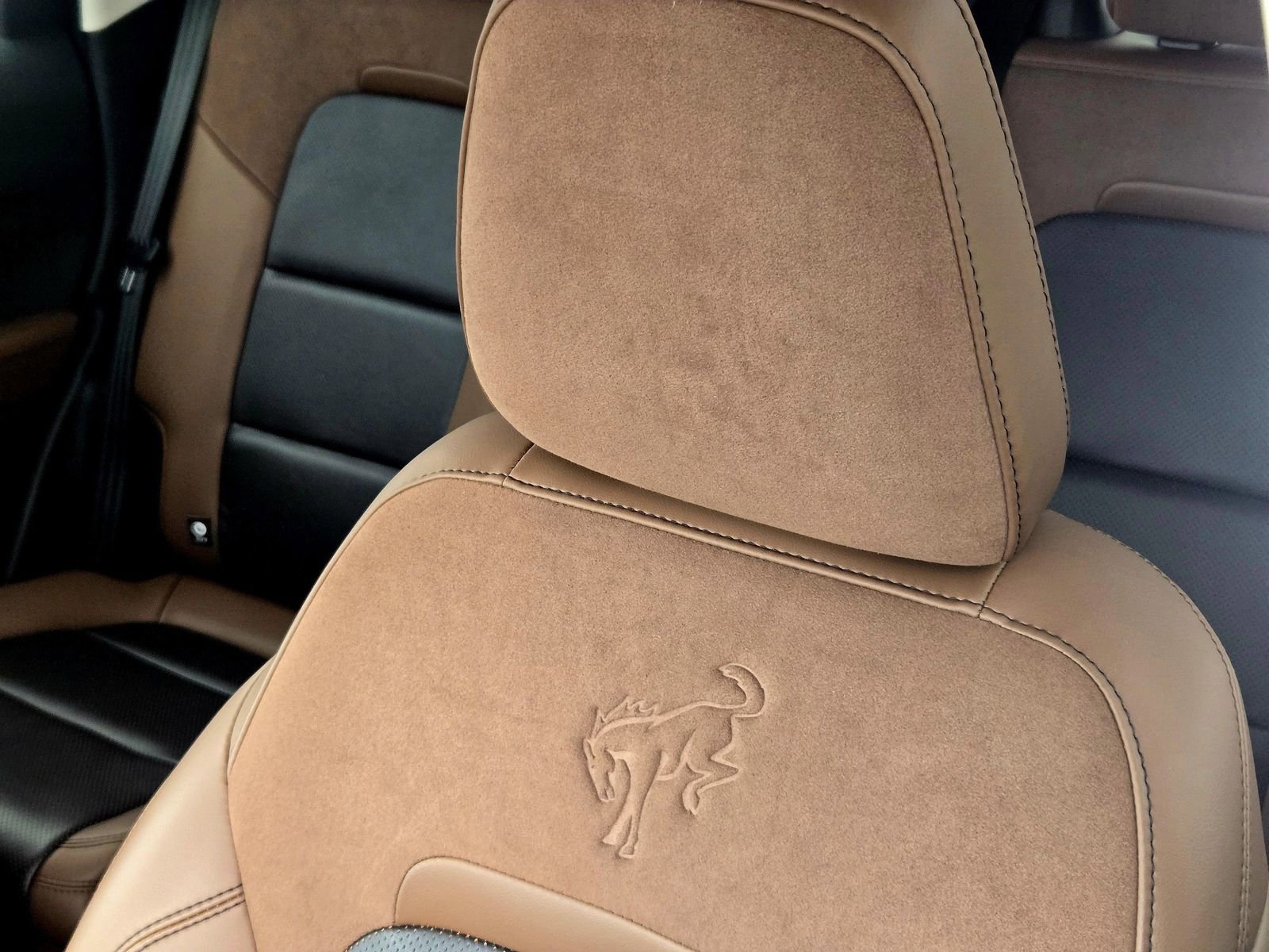 Certified 2024 Ford Bronco Sport Badlands w/ Premium Package image 17