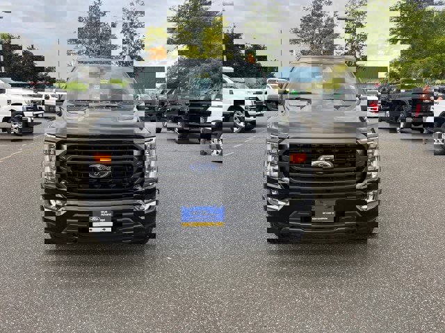 Certified 2022 Ford F150 XLT w/ Equipment Group 302A High image 8