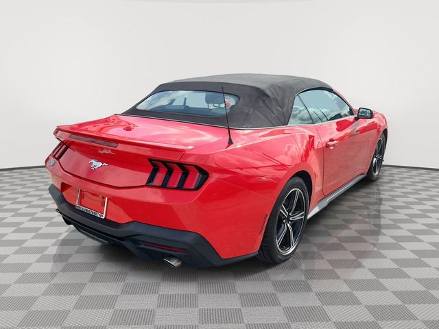 Certified 2024 Ford Mustang Premium RWD image 5