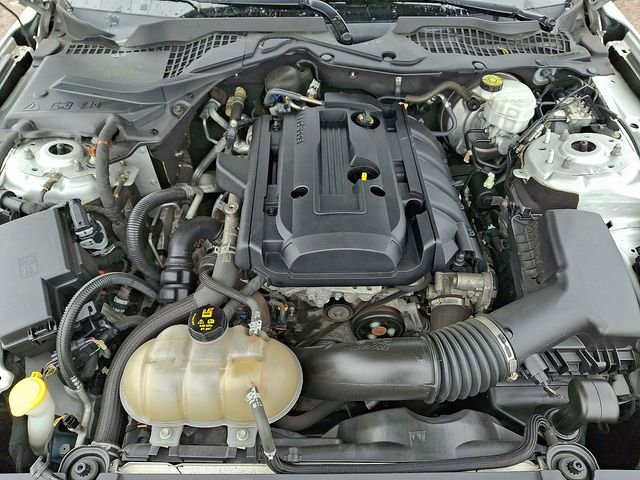 Certified 2019 Ford Mustang Coupe RWD image 28