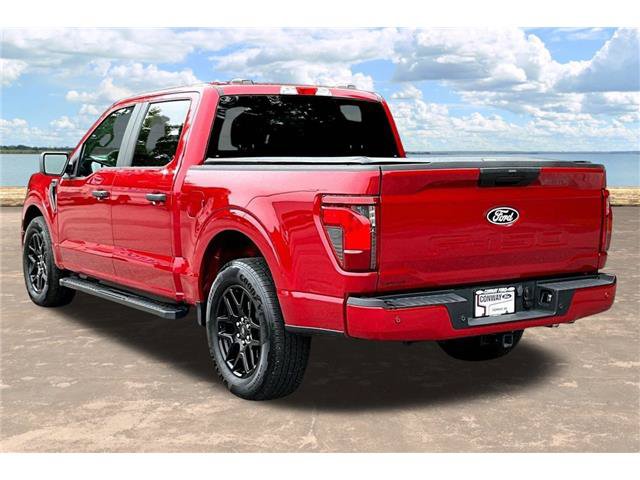 Certified 2025 Ford F150 STX w/ STX Black Appearance Package RWD image 5