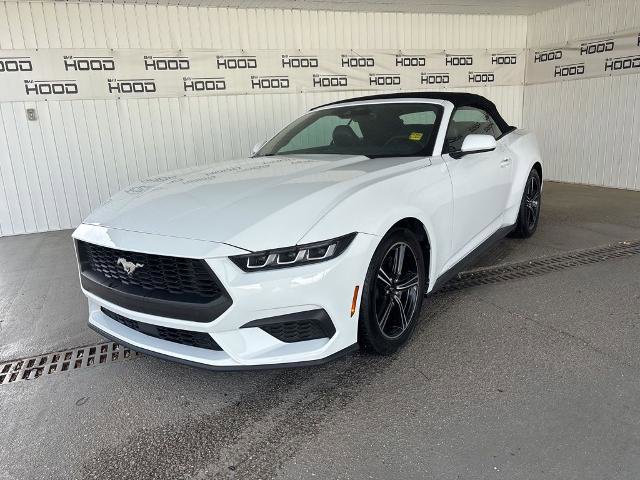 Certified 2025 Ford Mustang Premium RWD image 21