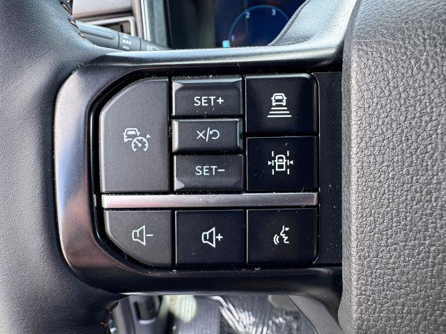 Certified 2024 Ford F250 Platinum w/ FX4 Off-Road Package AWD/4WD image 19