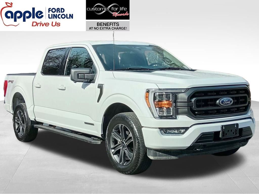 Certified 2023 Ford F150 XLT w/ Equipment Group 302A High image 1