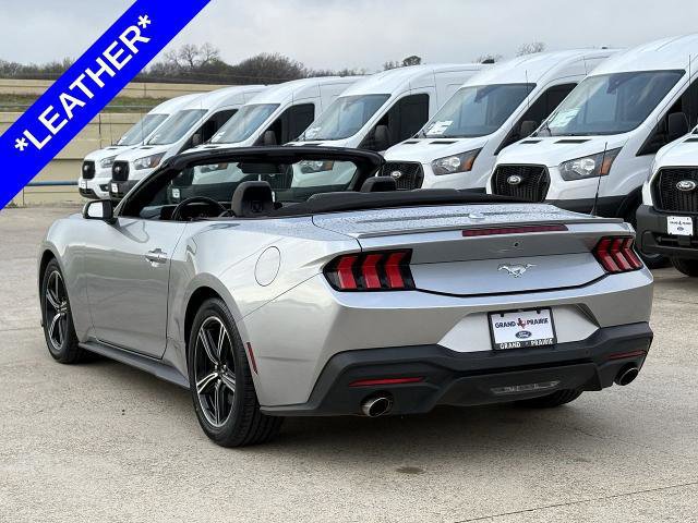 Certified 2024 Ford Mustang Premium image 4