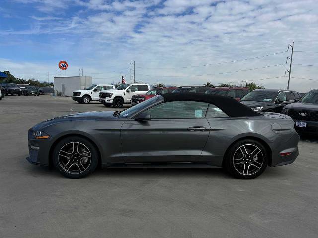 Certified 2023 Ford Mustang Premium w/ Equipment Group 201A image 4