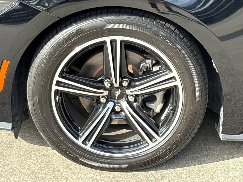 Certified 2024 Ford Mustang Premium image 13