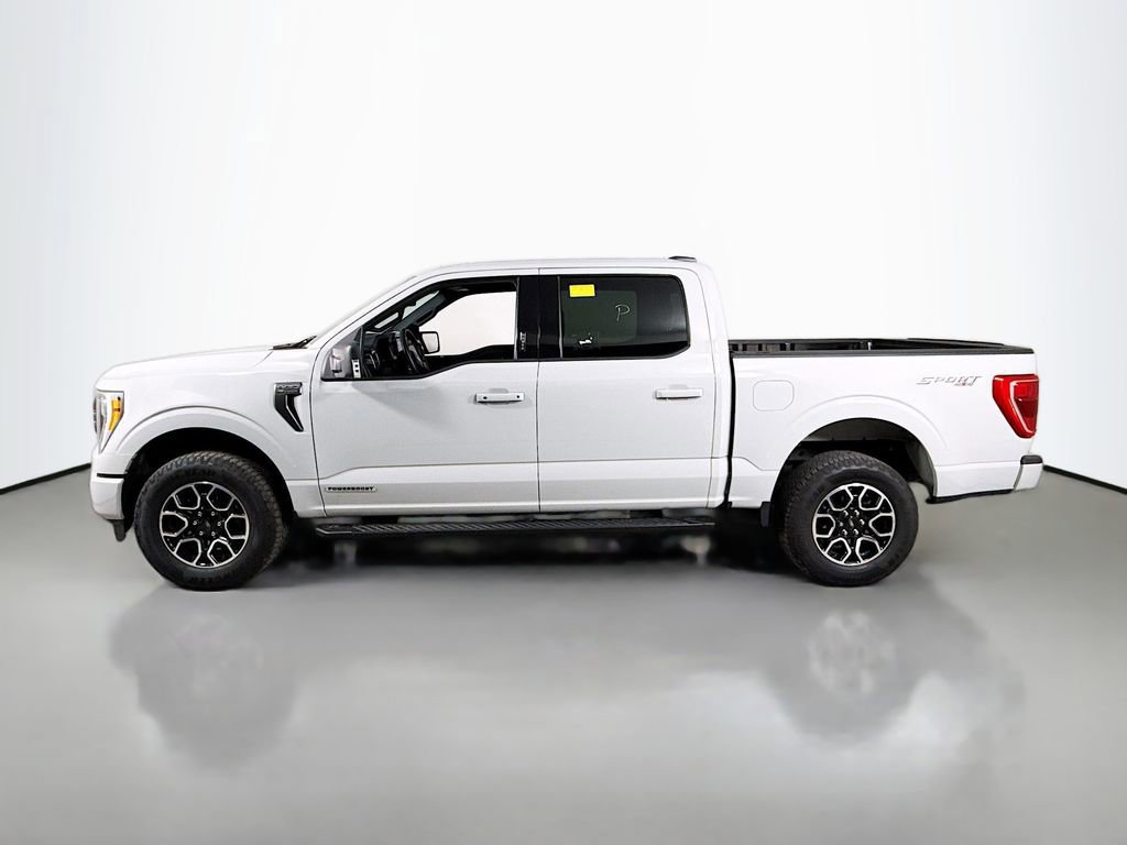 Certified 2023 Ford F150 XLT w/ Equipment Group 302A High image 2