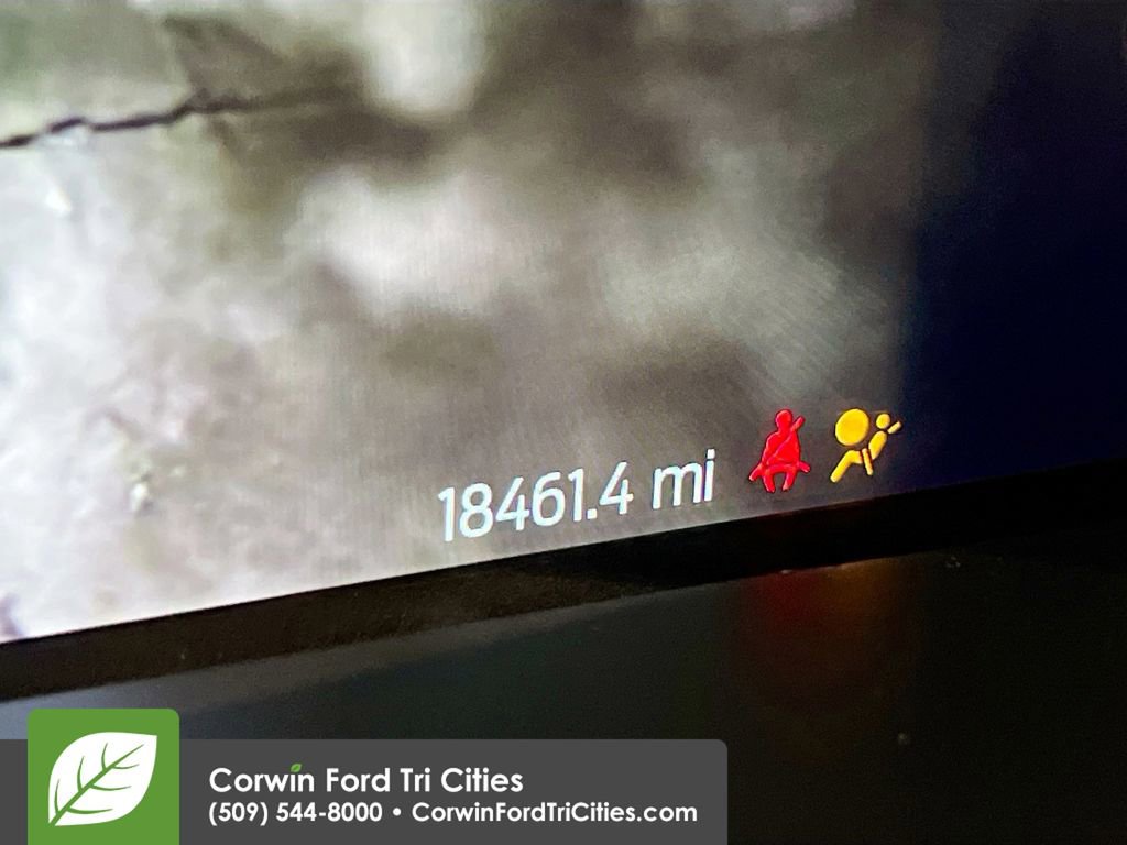 Certified 2024 Ford F150 XLT w/ Equipment Group 302A MID image 2