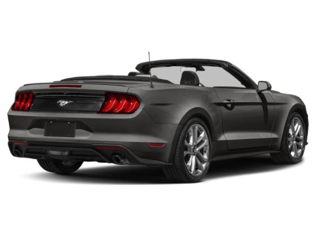 Certified 2022 Ford Mustang EcoBoost Convertible w/ Equipment Group 101A image 2