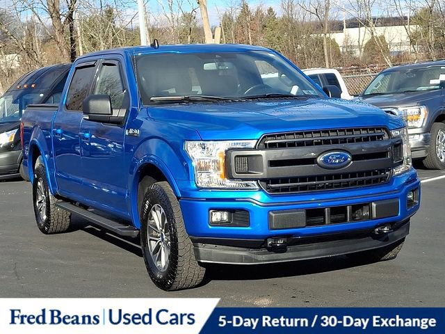 Certified 2019 Ford F150 XLT w/ Equipment Group 302A Luxury image 11