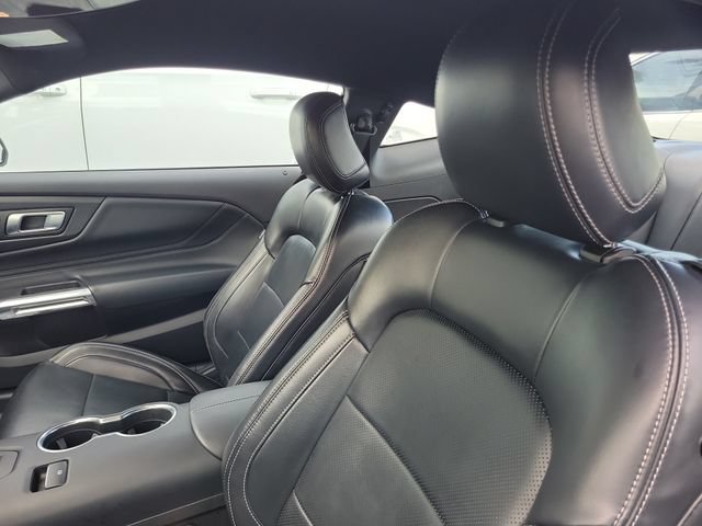 Certified 2024 Ford Mustang Premium w/ Mustang Nite Pony Package RWD image 8