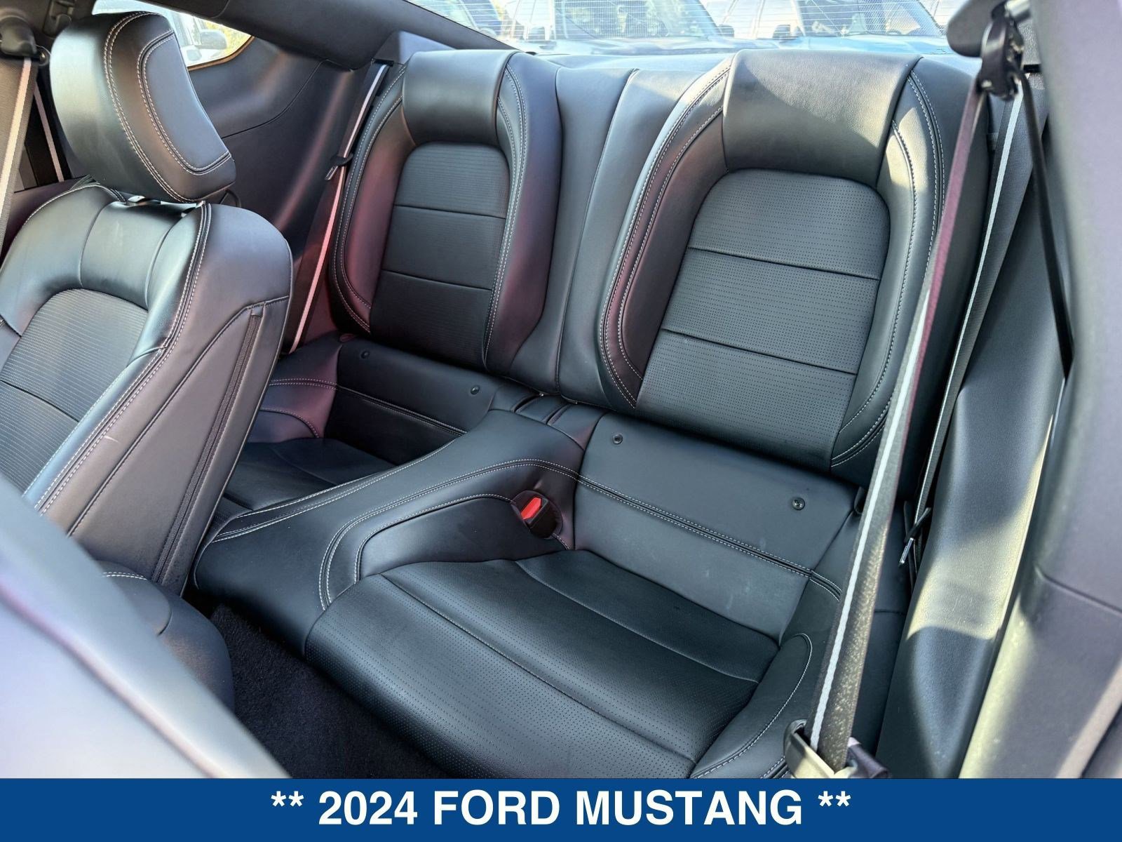 Certified 2024 Ford Mustang GT Premium image 15