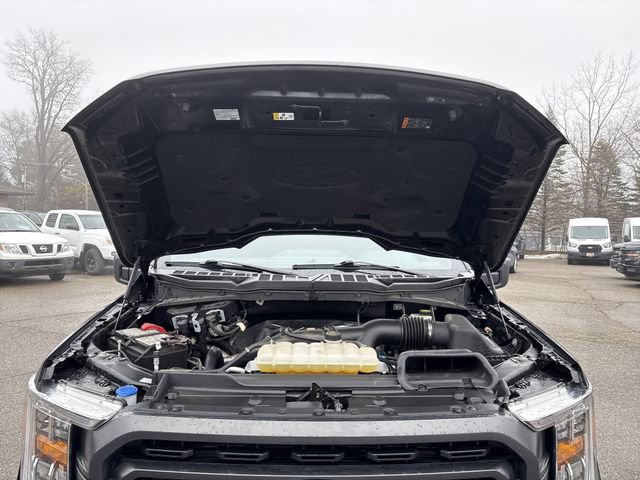 Certified 2023 Ford F150 XLT w/ Equipment Group 302A High image 20