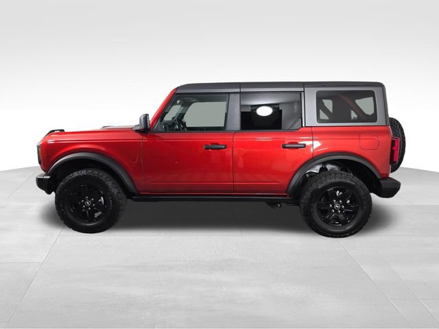 Certified 2024 Ford Bronco Black Diamond AWD/4WD image 4