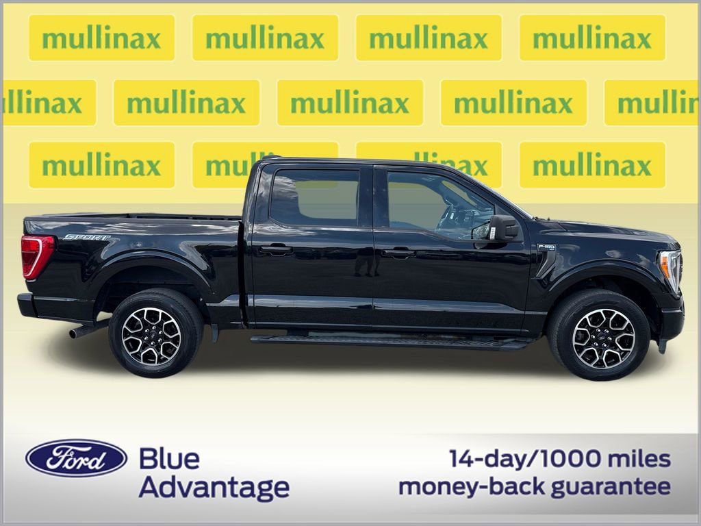 Certified 2023 Ford F150 XLT w/ Equipment Group 302A High video 2