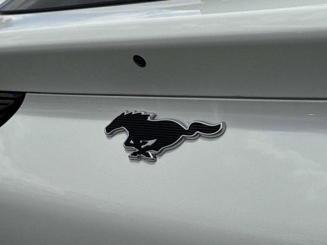Certified 2025 Ford Mustang Mach-E Premium RWD image 28