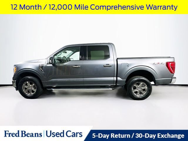 Certified 2023 Ford F150 XLT w/ Equipment Group 302A High video 2