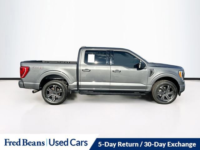 Certified 2023 Ford F150 XLT w/ Equipment Group 302A High image 6
