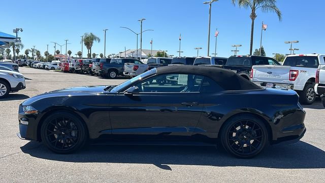 Certified 2019 Ford Mustang Premium w/ Ecoboost Performance Package RWD image 7