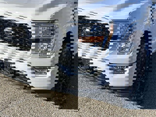 Certified 2022 Ford F150 XL w/ STX Black Appearance Package image 7