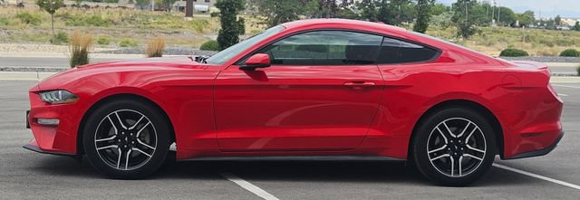 Certified 2019 Ford Mustang Premium RWD image 2