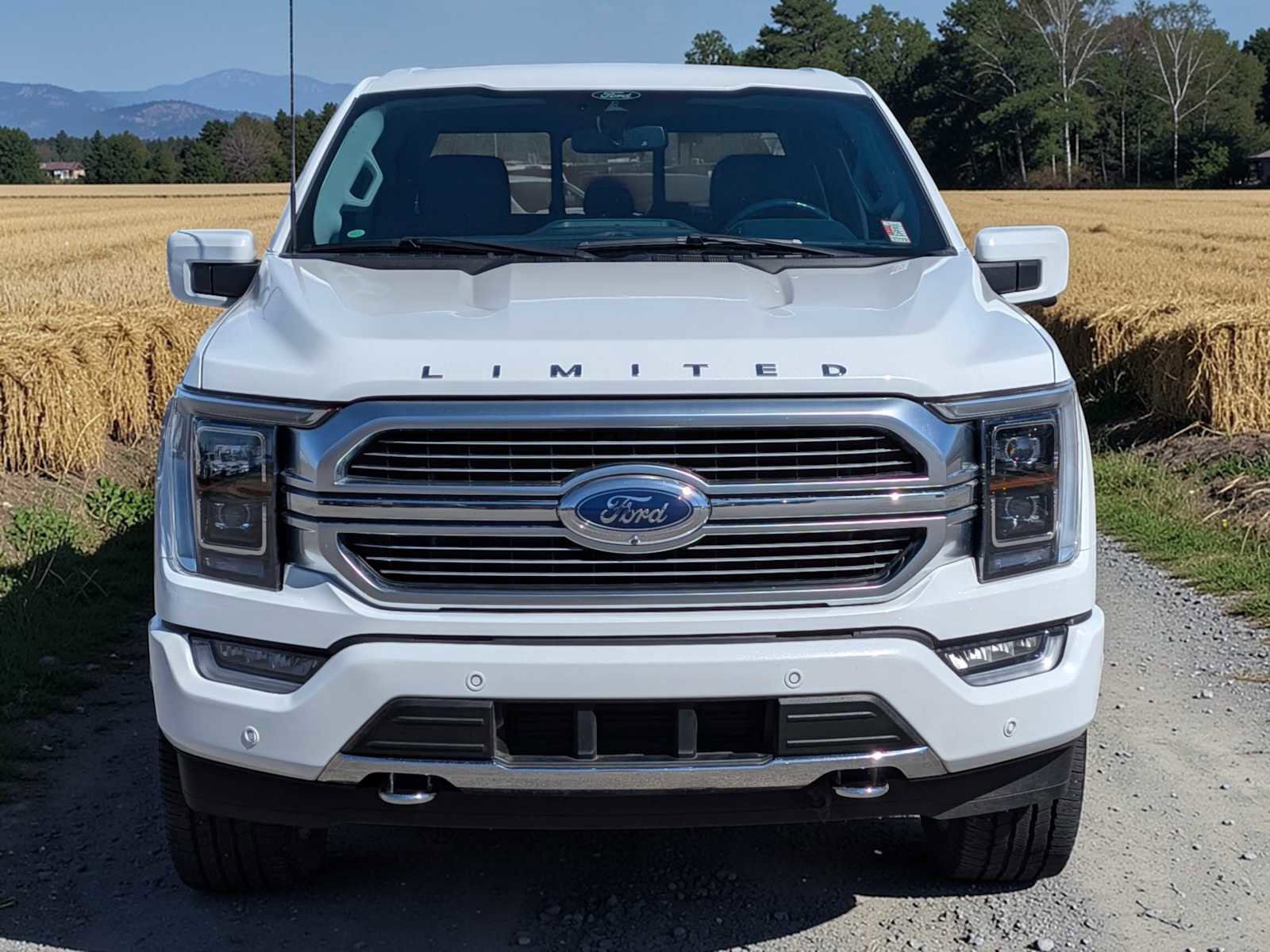 Certified 2021 Ford F150 Limited image 9