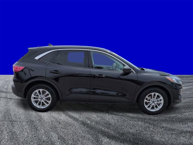 Certified 2022 Ford Escape SE FWD image 3