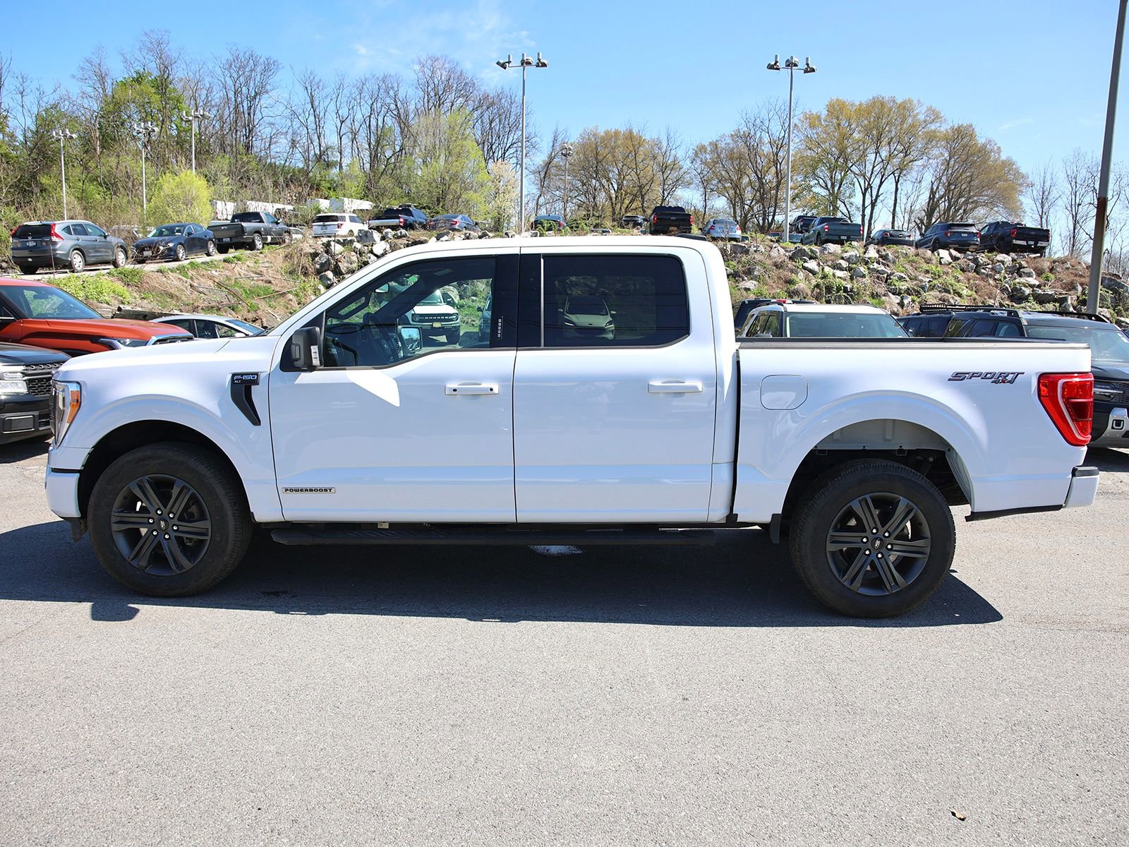 Certified 2023 Ford F150 XLT w/ Equipment Group 302A High AWD/4WD image 4