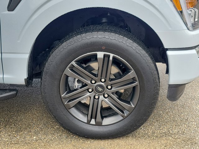 Certified 2022 Ford F150 XLT w/ Equipment Group 302A High image 8