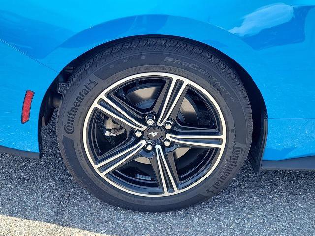 Certified 2024 Ford Mustang Premium RWD image 6